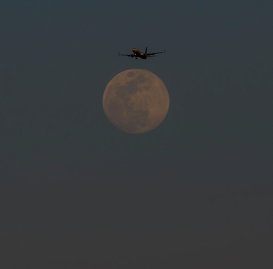 Lunar Landing Photograph by Alex Lapidus