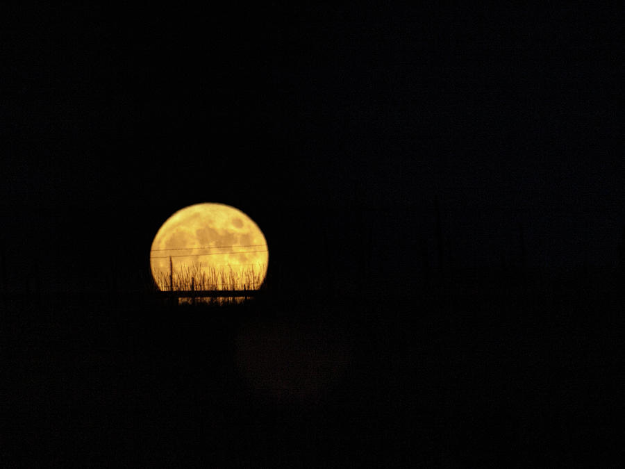 Lunar Landscape Photograph by Alana Thrower