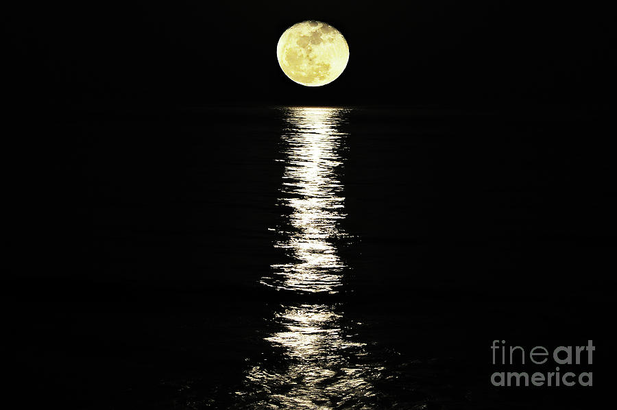 Moon Reflection Photograph - Lunar Lane by Al Powell Photography USA