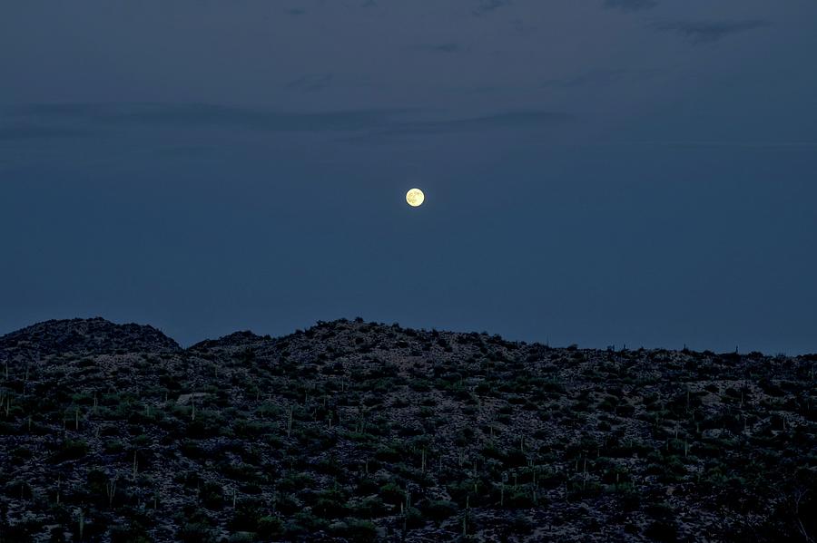 Lunar Photograph by Mike Dunn
