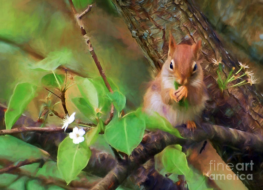 Animal Photograph - Lunching In The Leaves by Kerri Farley
