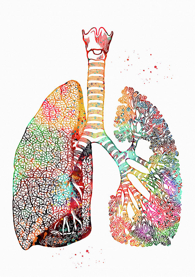  Lungs Art Digital Art by Erzebet S