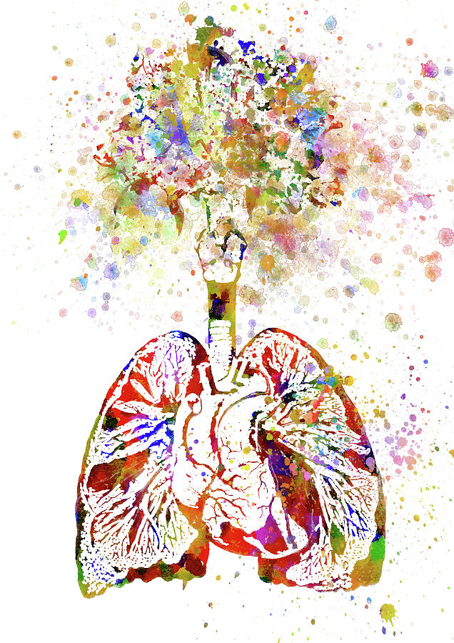 Lungs with Flowers Mixed Media by Ann Leech