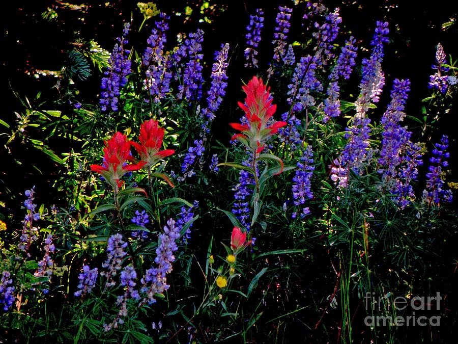 lupine and indian paintbrush tattoo