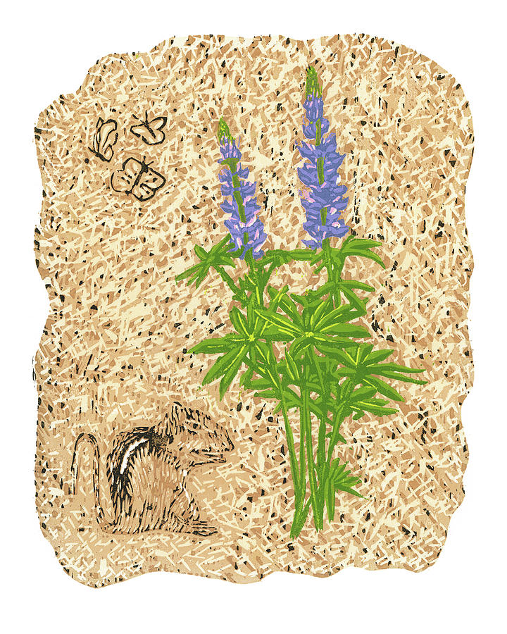 Lupine Relief by Ben Bohnsack