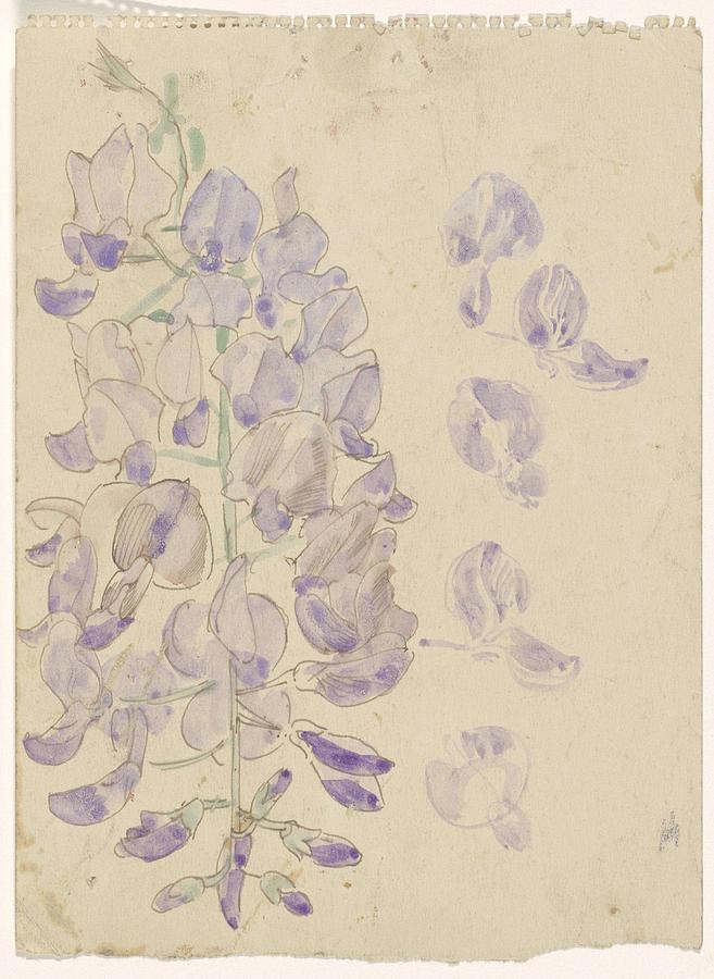 Lupine, Carel Adolph Lion Cachet, 1874 - 1945 Painting