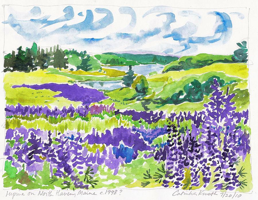 Lupine on North Haven Maine  Painting by Catinka Knoth