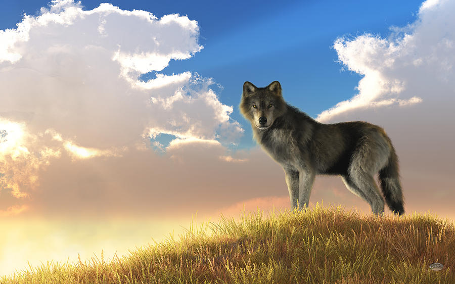 Wolves Digital Art - Lupine Sunrise by Daniel Eskridge