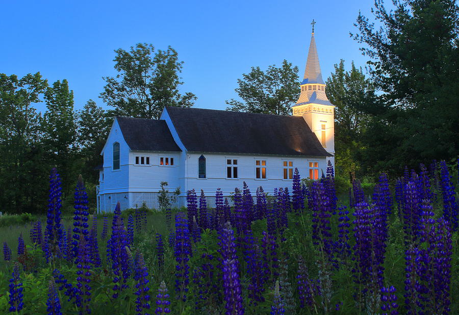Lupines And St Matthews Chapel At Dusk Photograph