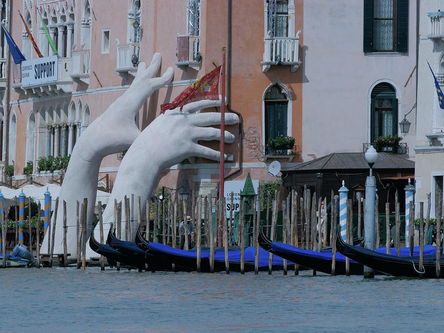 Lurking in Venice Photograph by S Paul Sahm