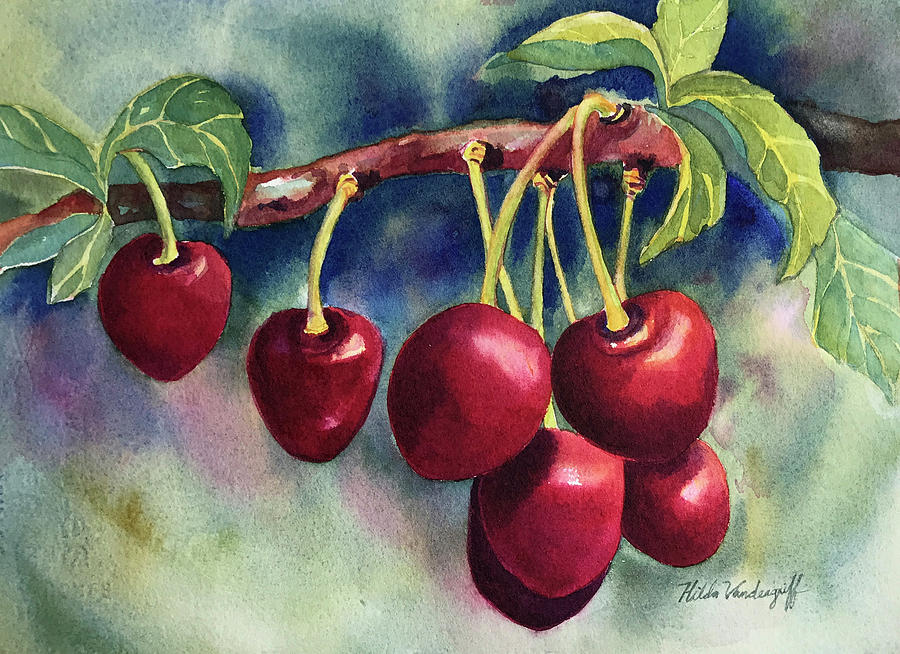 Luscious Cherries Painting by Hilda Vandergriff