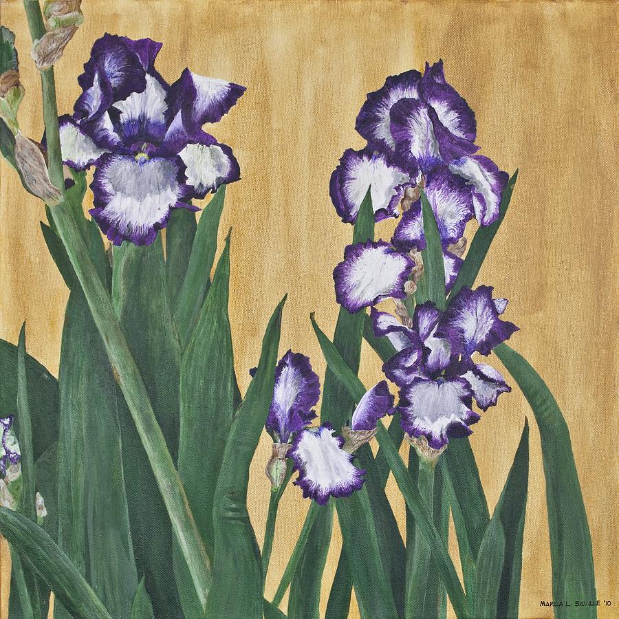 Luscious Iris Painting by Marla Saville
