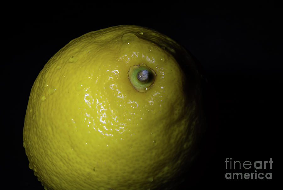 Luscious Lemon Photograph by Deborah Klubertanz