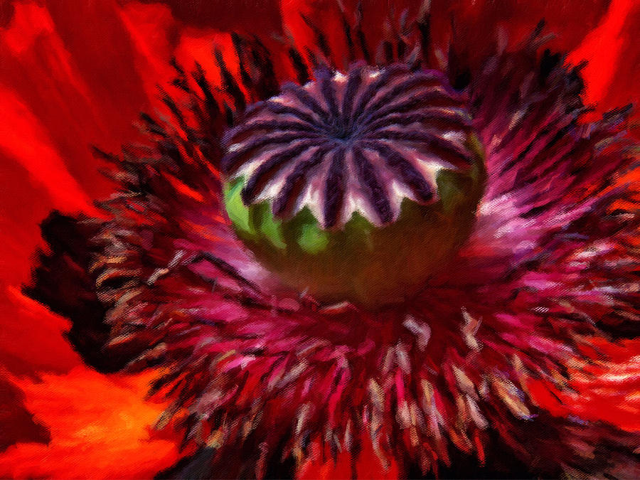 Poppy Painting - Luscious Red Poppy Art by Georgiana Romanovna
