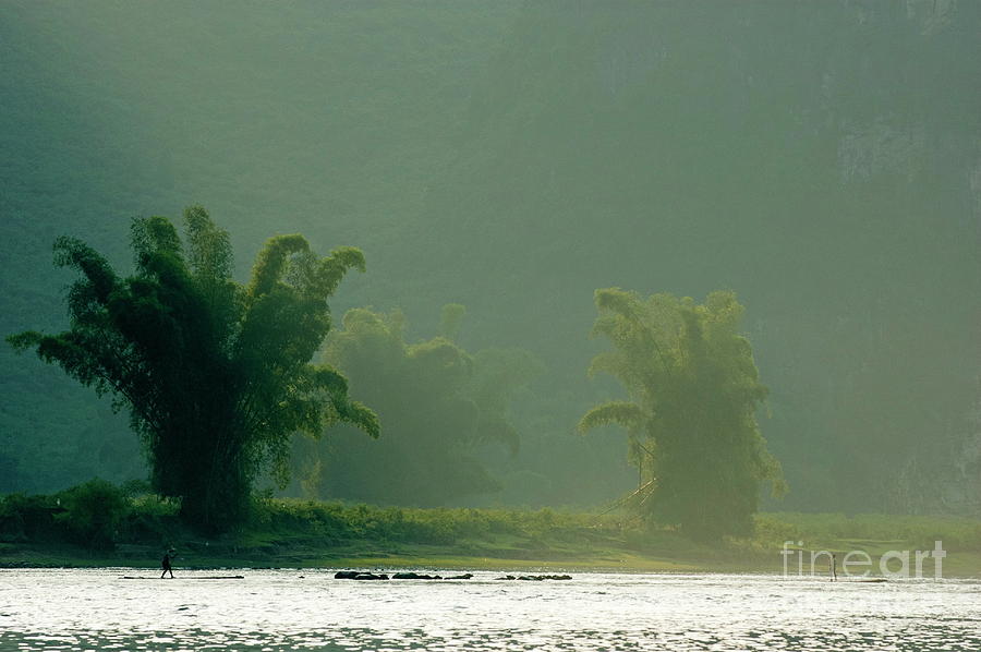 Landscape Photograph - Lush bamboo trees on the banks of the Li Jiang river in Yangshuo by Sami Sarkis