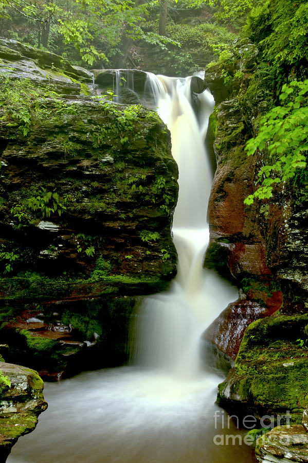 Lush Green And Red Rock Falls Photograph by Adam Jewell