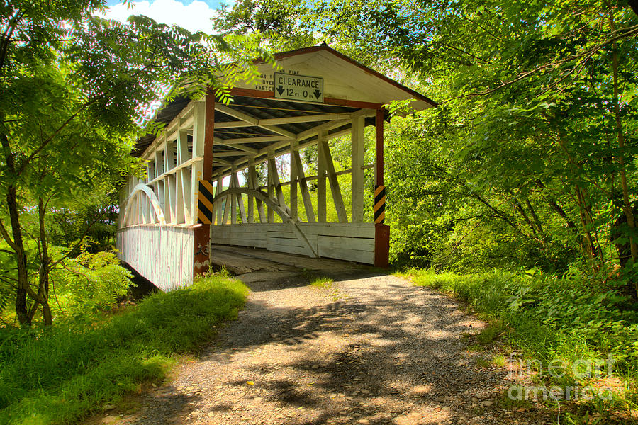 Lush Green At The Diehls Covered Bridge Photograph by Adam Jewell