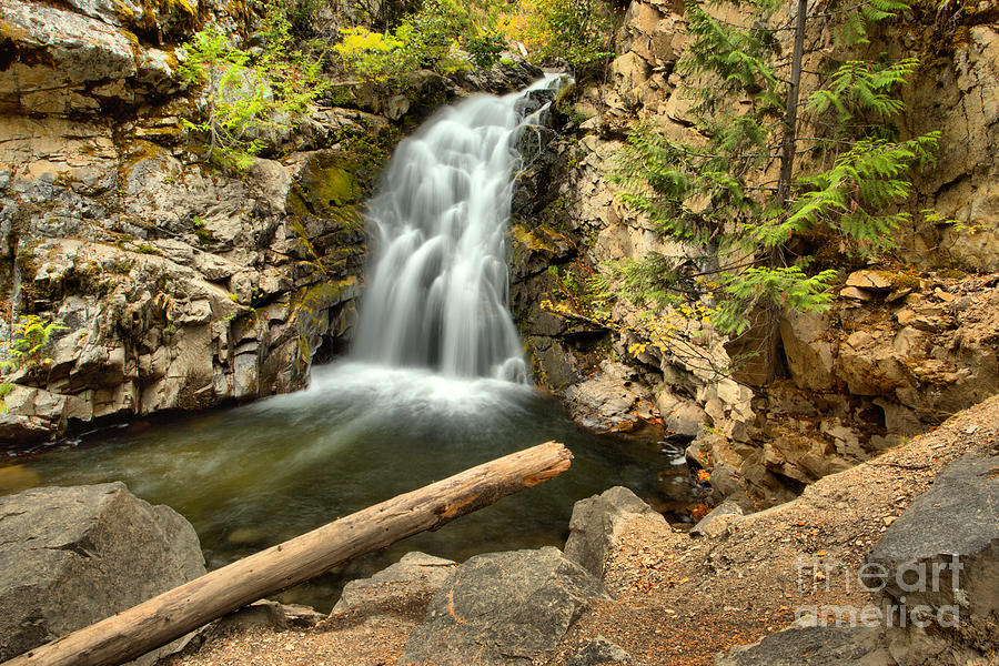 Lush Green Falls Creek Falls Photograph by Adam Jewell