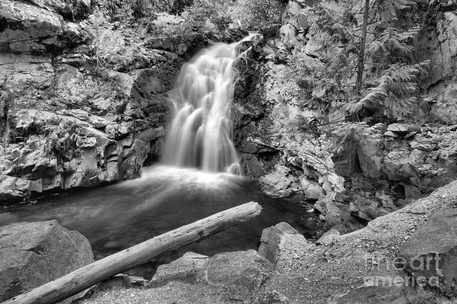 Lush Green Falls Creek Falls Black And White Photograph by Adam Jewell