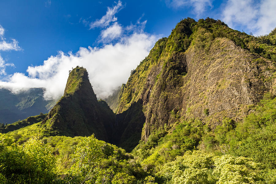 Lush Iao Needle Maui Photograph by Pierre Leclerc Photography