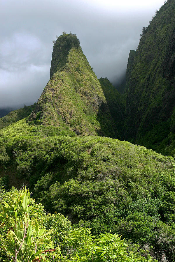 Lush Iao Valley Maui Hawaii Photograph by Pierre Leclerc Photography