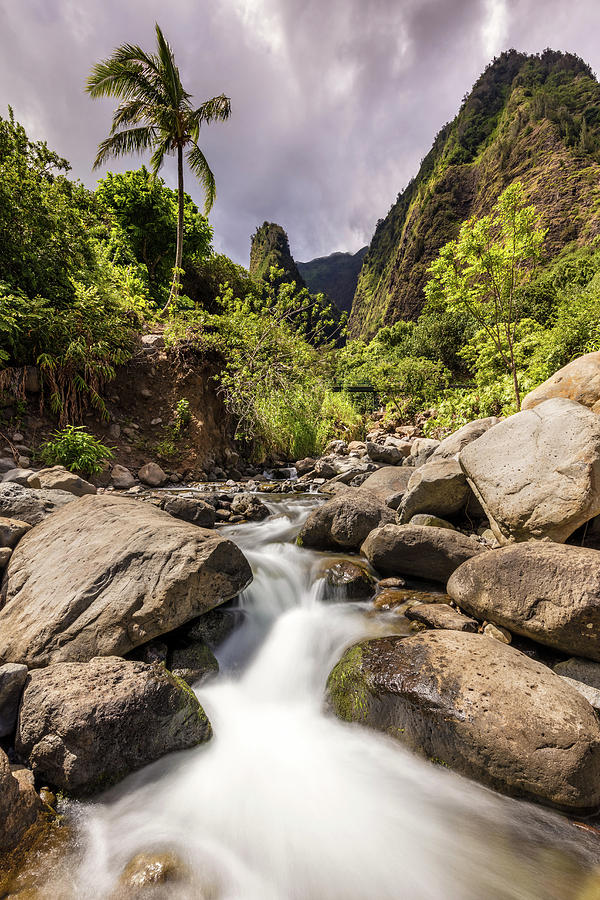 Lush Iao Valley Stream Photograph by Pierre Leclerc Photography