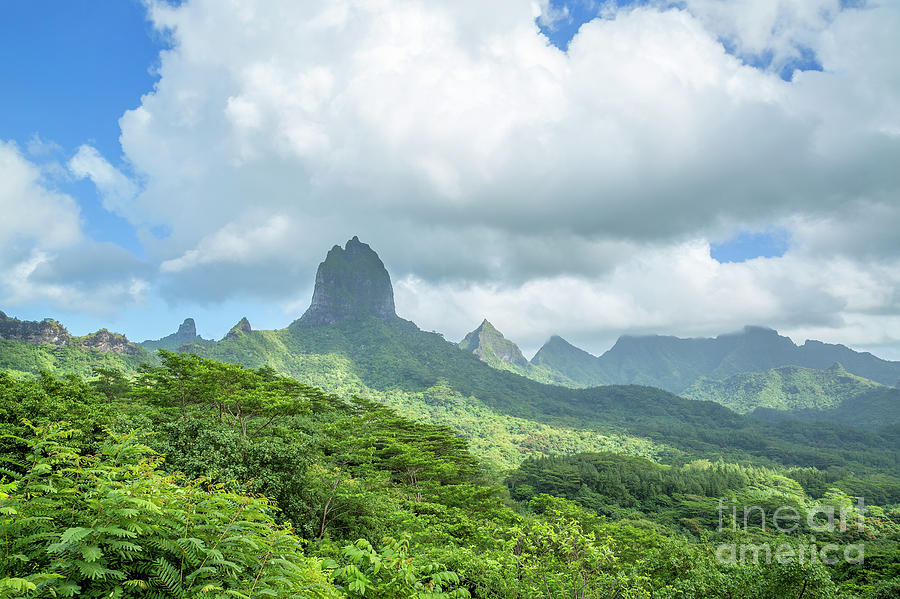 Lush mountains surrounding Opunohu Bay in Moorea, French Polynes ...