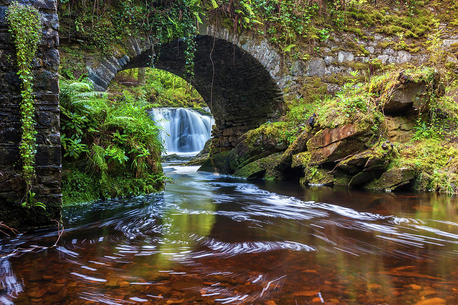 Lush River Killarney Ireland Photograph by Pierre Leclerc Photography