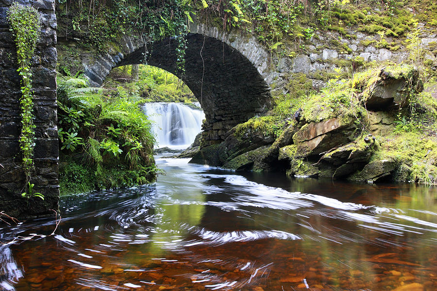 Lush River Killarney Ireland Photograph By Pierre Leclerc Photography