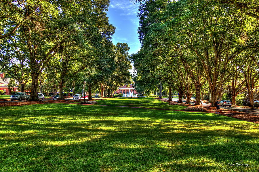 Greenville SC Lush Shadows Furman University Main Campus Landscape Art Photograph by Reid Callaway