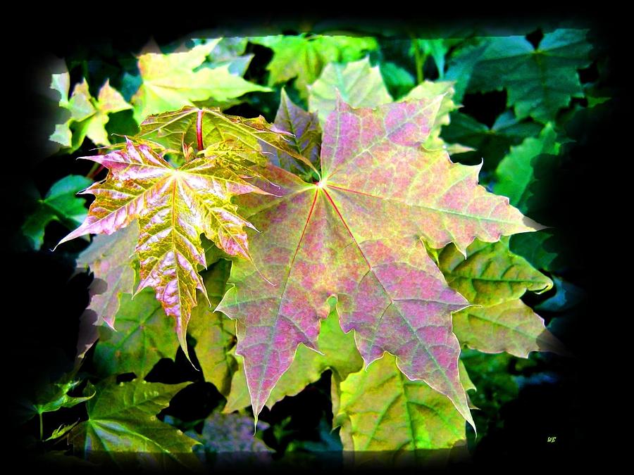 Lush Spring Foliage Mixed Media by Will Borden