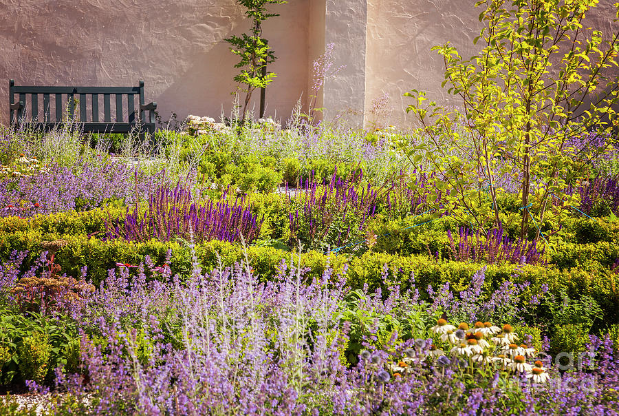 Lush walled garden Photograph by Sophie McAulay