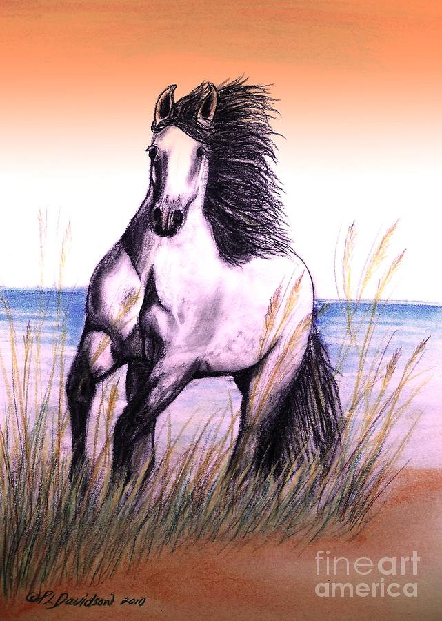 Horse Drawing - Lusitano Thunder By The Sea by Pat Davidson