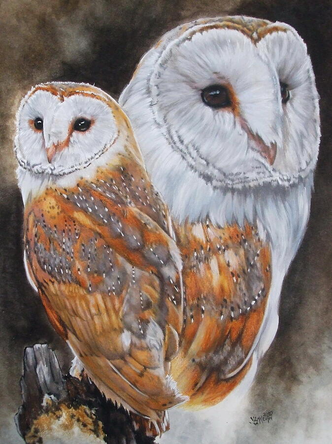 Owl Mixed Media - Luster by Barbara Keith