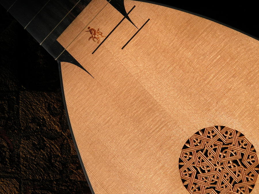Lute Photograph - Lute Unstrung  by Donna Stewart