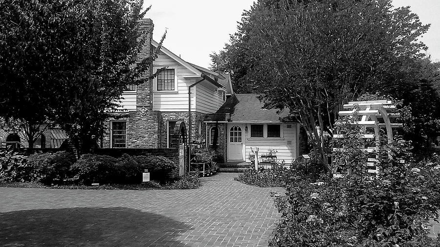 Luther Burbank Home and Gardens - Black and White Photograph by K Bradley Washburn