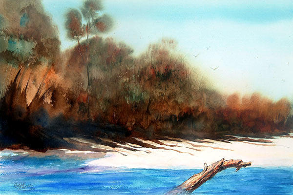 Luthers Landing Swim Hole Painting by Bobby Walters