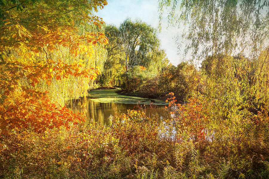 Autumn Landscape Photograph - Luxurious Autumn by Kathi Mirto