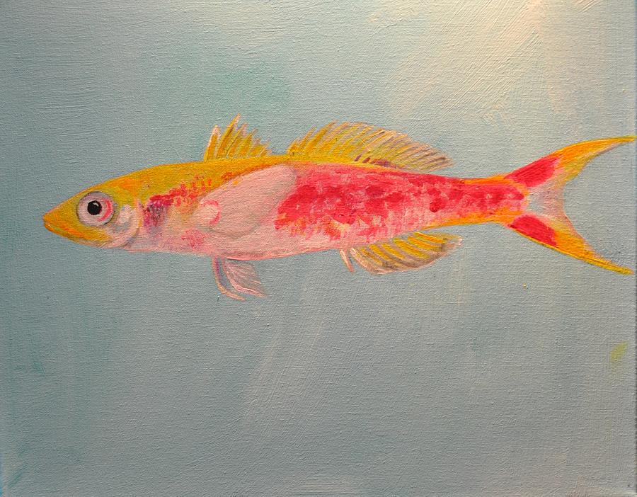 Luzonichthys seaver Painting by Eduard Meinema