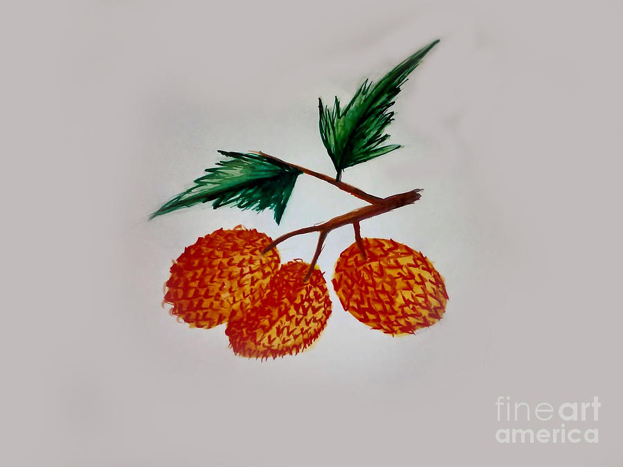 lychee painting