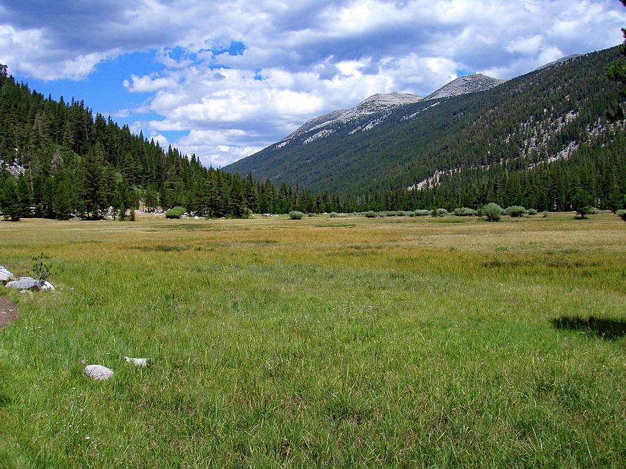 Lyell Canyon Photograph by Daniel Saviers - Pixels