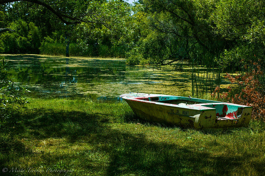 The Ol Boat Photograph by Misty Tienken