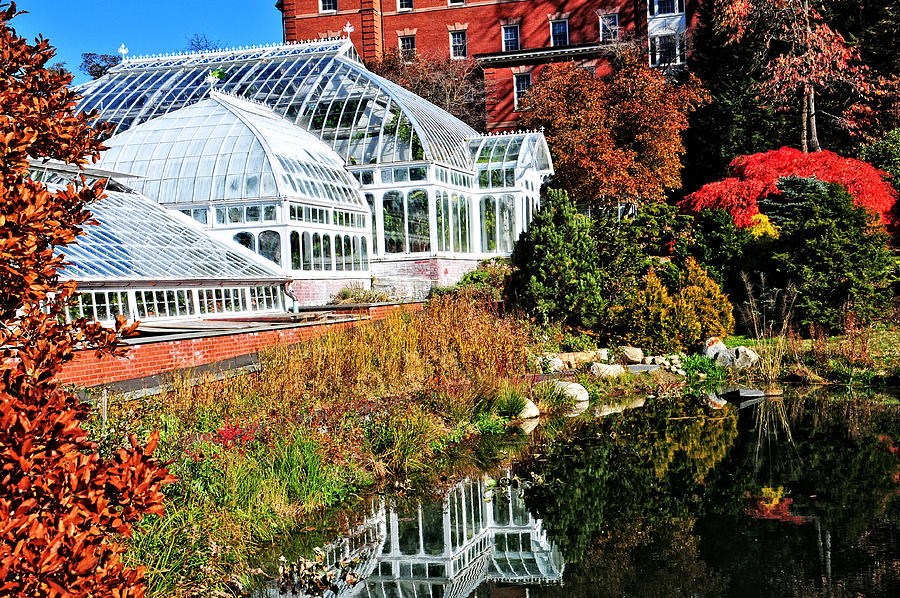Lyman Conservatory  Photograph by Mike Martin