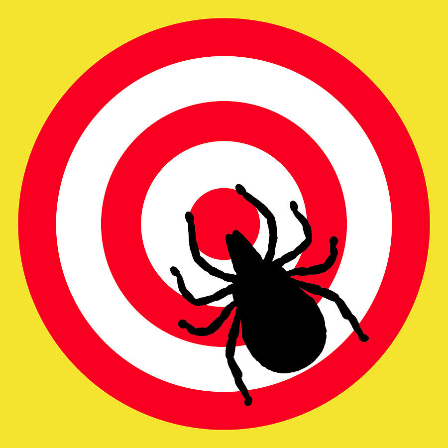 Lyme Disease Ixodes Tick on Target Digital Art by Richard Reeve