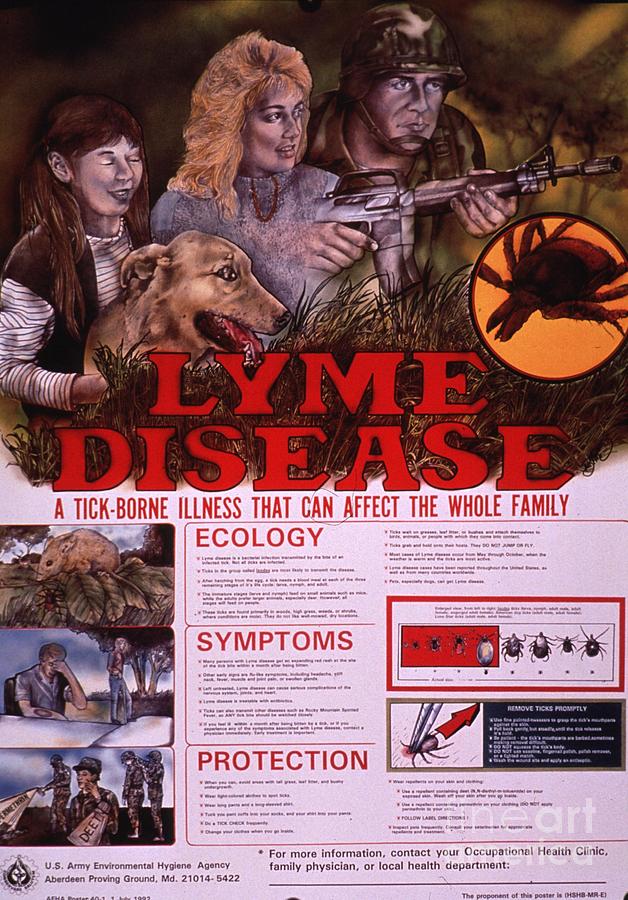 Lyme disease Painting by MotionAge Designs