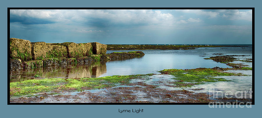 Lyme Light Photograph by Wendy Wilton