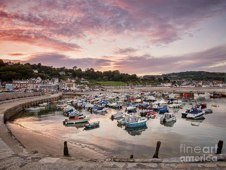 Lyme Regis Harbour Photograph by Colin and Linda McKie