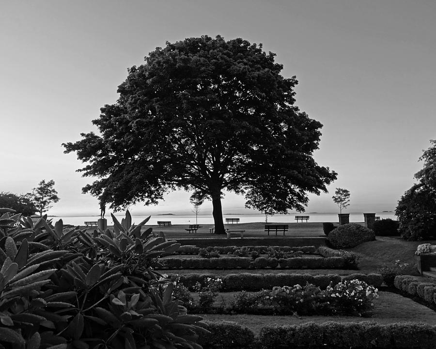 Lynch Park at Dawn Beverly MA Black and White Photograph by Toby McGuire