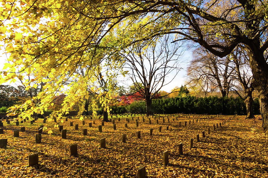 Lynchburg Old City Cemetery in Autumn Photograph by Norma Brandsberg