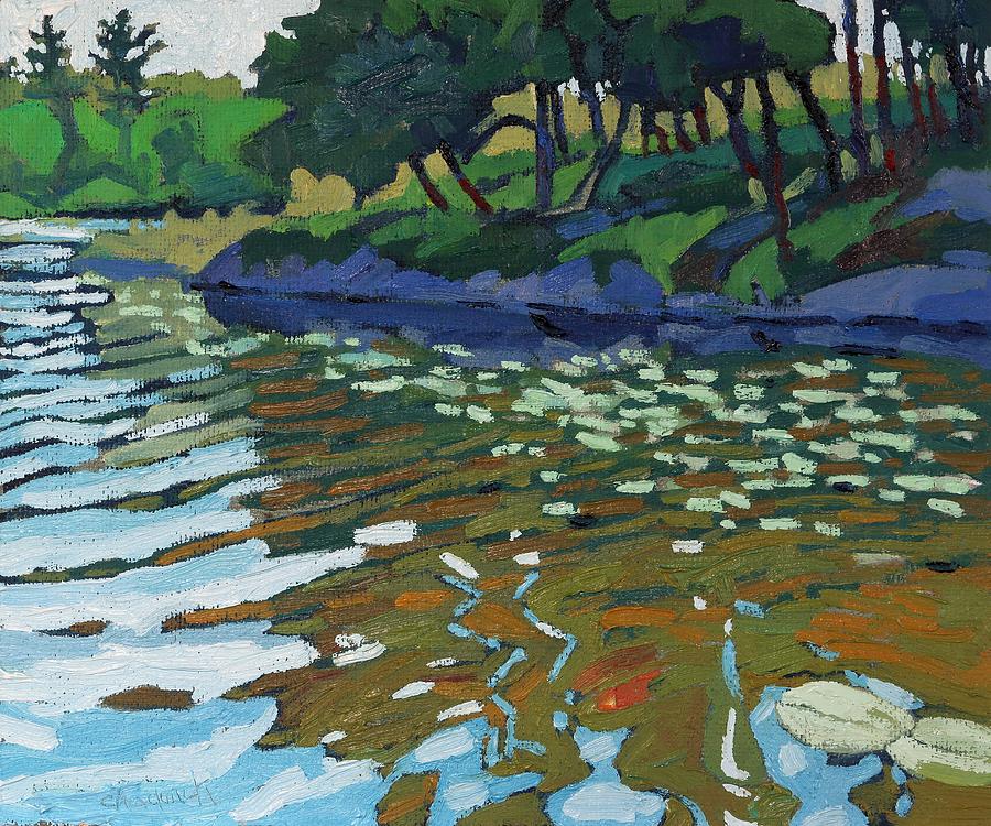 Summer Painting - Lyndhurst Lake by Phil Chadwick